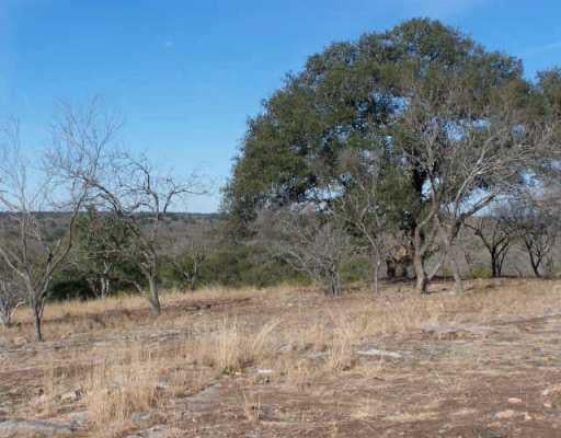 View 122 Oak Meadow TRL 122 Oak Meadow TRL - front exterior - Luxury lot in Spicewood, TX
