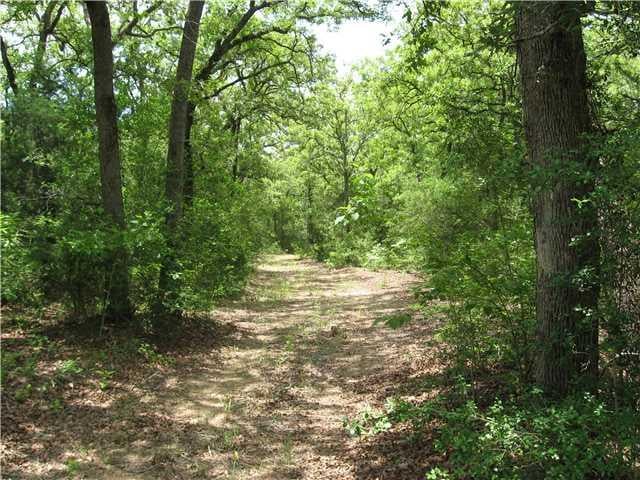 View 1223 Peach Creek RD 1223 Peach Creek RD - front exterior - Luxury home in Rosanky, TX