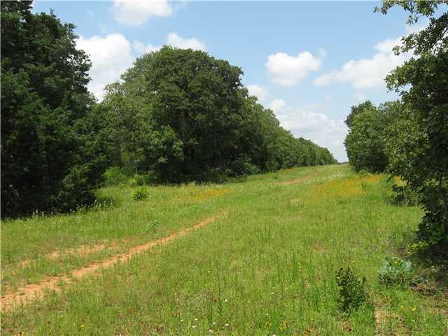 View 1225 Peach Creek RD 1225 Peach Creek RD - front exterior - Luxury home in Rosanky, TX