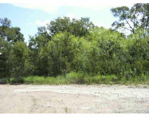 View 123 Diamond Head DR 123 Diamond Head DR - front exterior - Luxury lot in Bastrop, TX