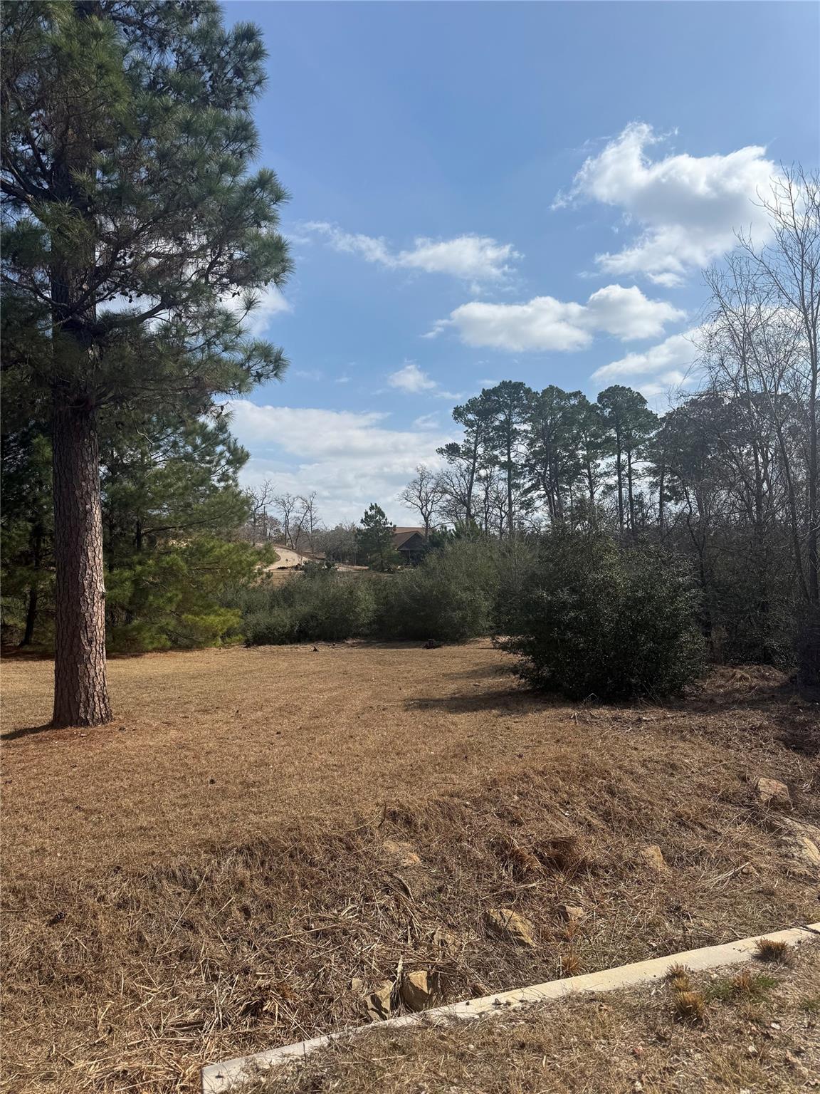 View 123 Koali Dr in Tahitian Village, 123 Koali Dr - front exterior - Luxury lot in Tahitian Village,, Bastrop, TX