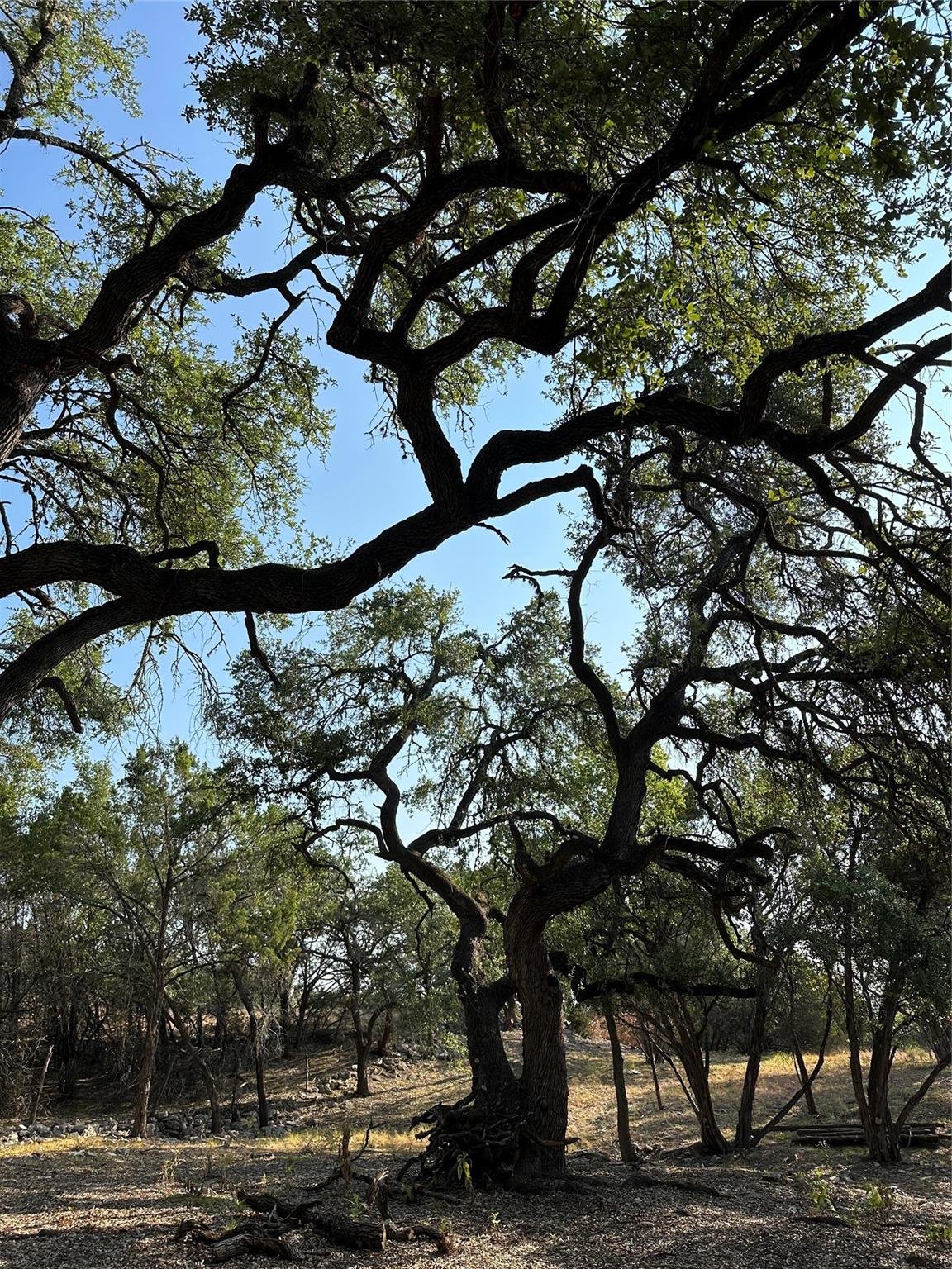 View 12333A Ranch Rd 12 Unit #1 12333A Ranch Rd 12 Unit #1 - front exterior - Luxury lot in Wimberley, TX