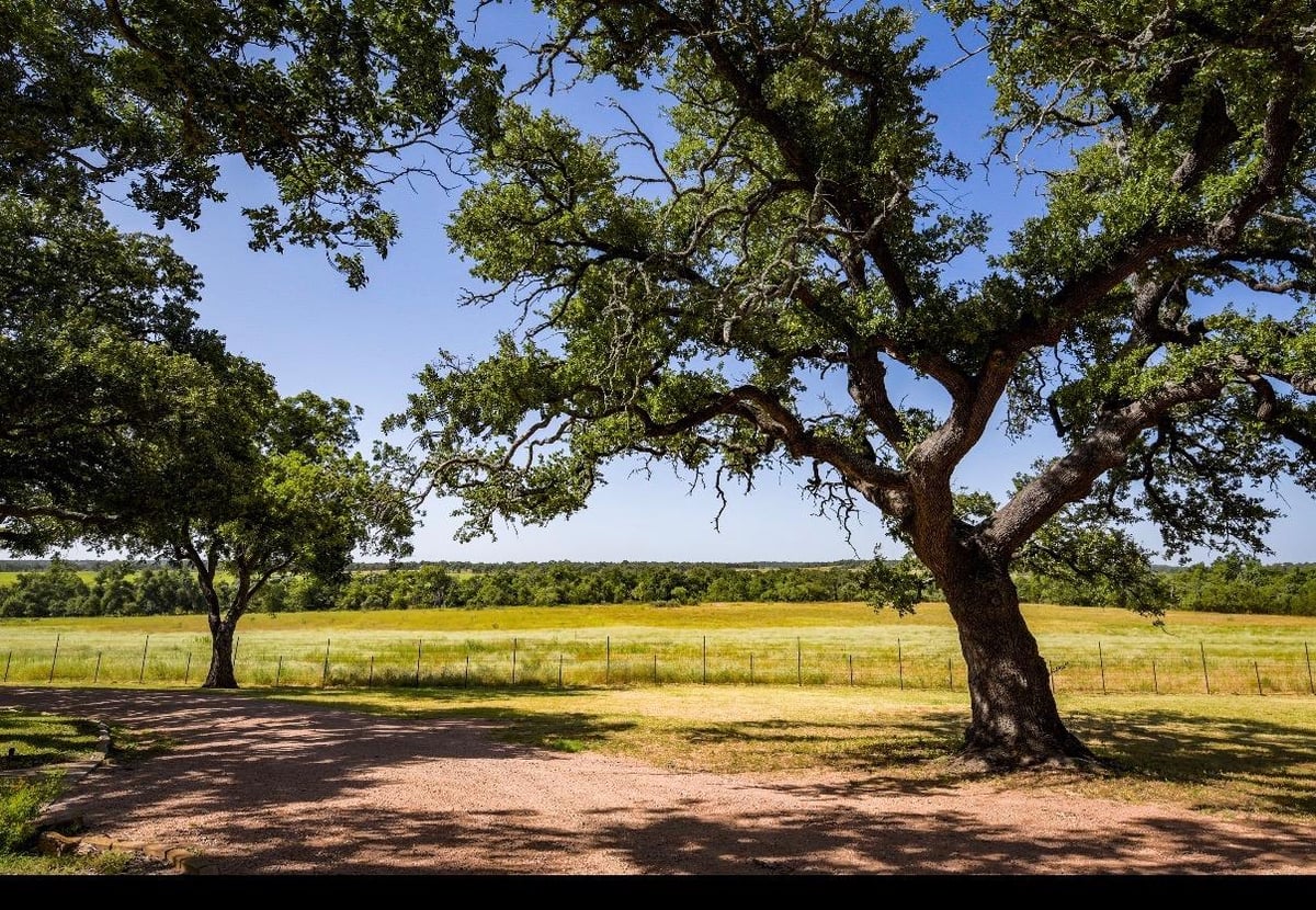 View 12350-65 N Hwy 16 Hwy in N/A 12350-65 N Hwy 16 Hwy - front exterior - Luxury home in N/A, Fredericksburg, TX