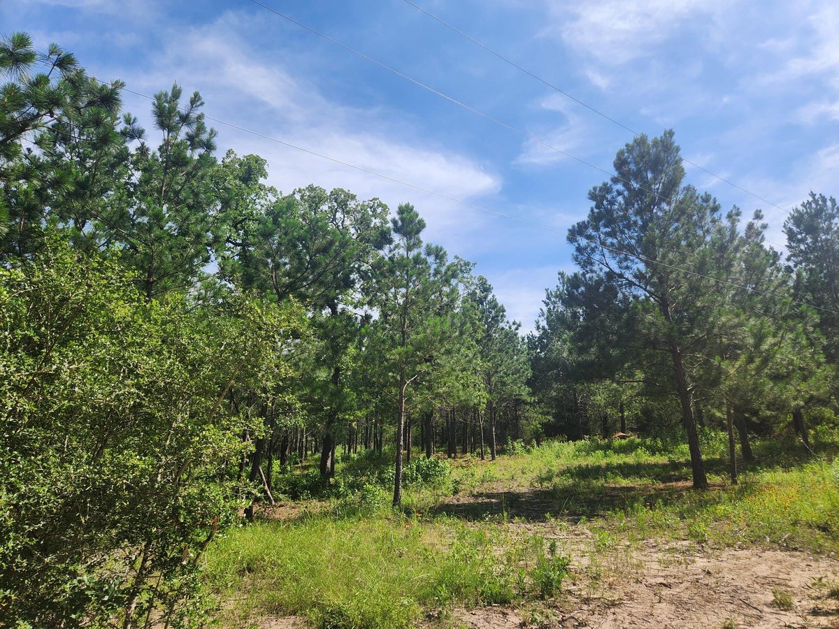 View 124 Paintbrush Ln in Circle D, Section 1 124 Paintbrush Ln - front exterior - Luxury lot in Circle D, Section 1, Bastrop, TX