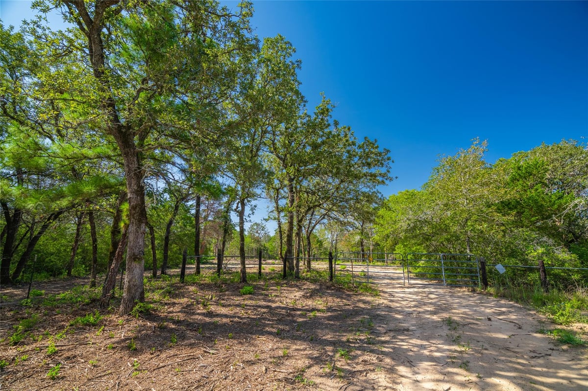 View 1247 Sand Hills Road in Rosanky 1247 Sand Hills Road, photo 1 of 21, Rosanky, Rosanky, TX