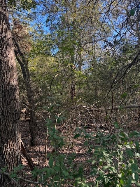 View 125 Helemano DR in Tahitian Village, 125 Helemano DR - property photo 1 - Luxury lot in Tahitian Village,, Bastrop, TX