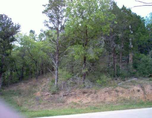 View 126 Mccarthy DR 126 Mccarthy DR - front exterior - Luxury lot in Bastrop, TX