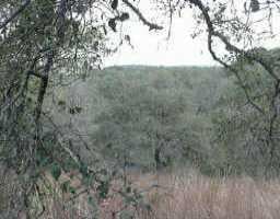 View 127 Curva Bonita 127 Curva Bonita - front exterior - Luxury lot in Wimberley, TX
