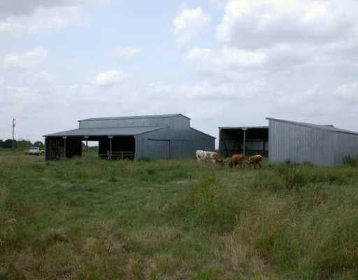 View 12750 FM 112 12750 FM 112 - property photo 1 - Luxury home in Thrall, TX