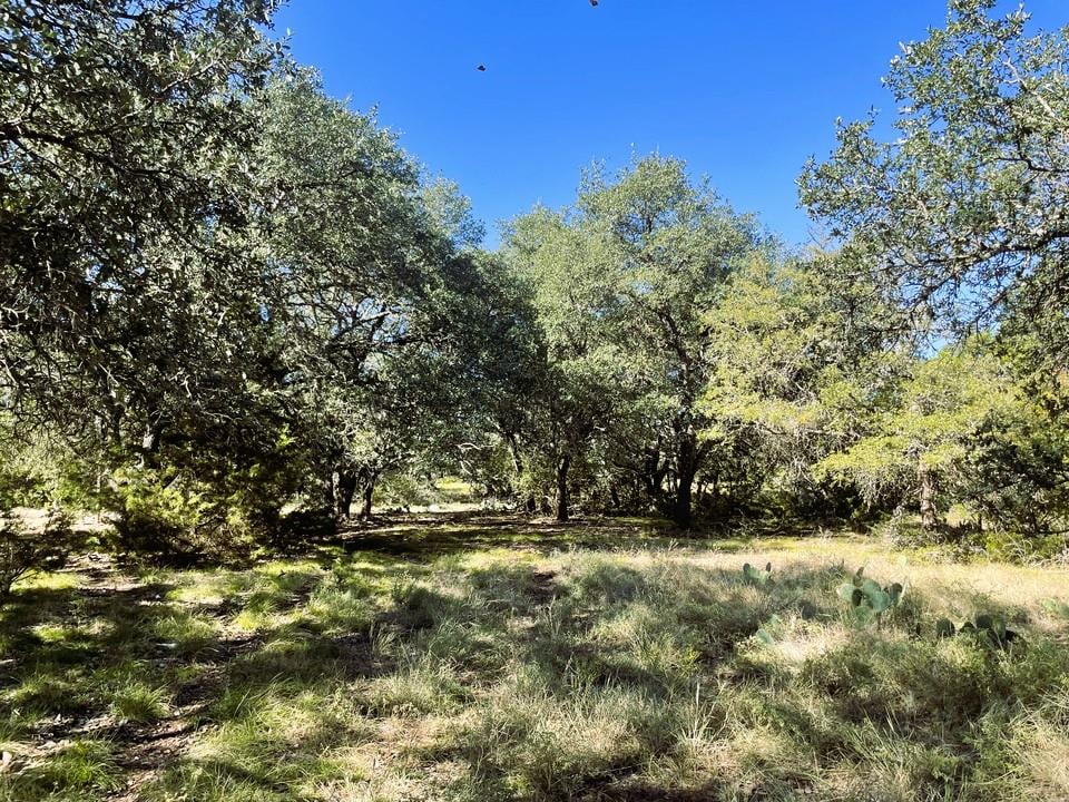 View 1276 Fm 574 in Mullin 1276 Fm 574, photo 1 of 40, Mullin, Mullin, TX