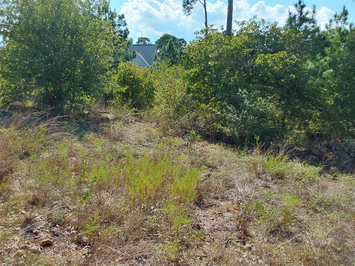 View 128 Mokalau DR in Tahitian Village, 128 Mokalau DR - property photo 1 - Luxury lot in Tahitian Village,, Bastrop, TX