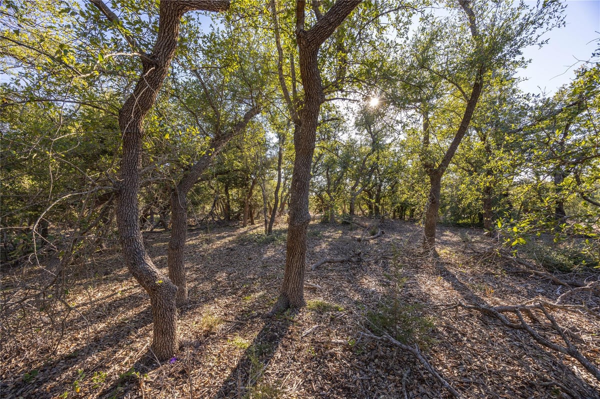 View 130 Panorama Dr in Hilltop Place Sec 1 130 Panorama Dr - front exterior - Luxury lot in Hilltop Place Sec 1, Wimberley, TX