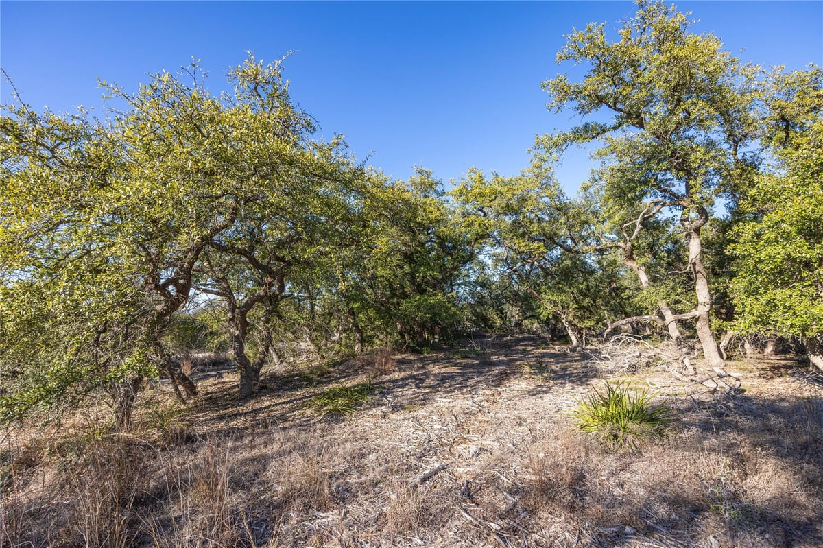 Primary bedroom at 130 Panorama Dr - Hilltop Place Sec 1, Wimberley, TX