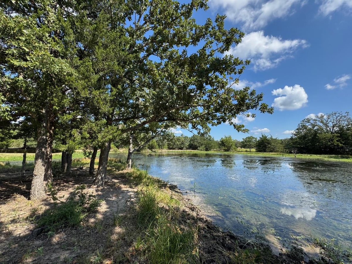 View 13115 Schoenemann RD in Carmine 13115 Schoenemann RD, photo 1 of 15, Carmine, Carmine, TX