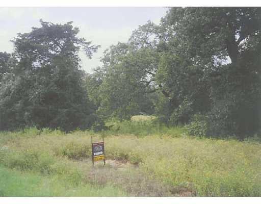 View 132 La Reata TRL 132 La Reata TRL - front exterior - Luxury lot in Smithville, TX