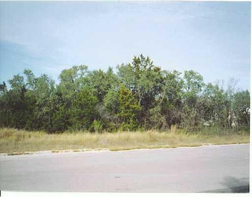View 132 Savanna Terrace DR 132 Savanna Terrace DR - front exterior - Luxury lot in Liberty Hill, TX