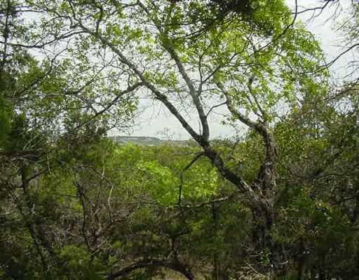 View 1349 Patterson Rd 1349 Patterson Rd - property photo 1 - Luxury lot in Bee Cave, TX