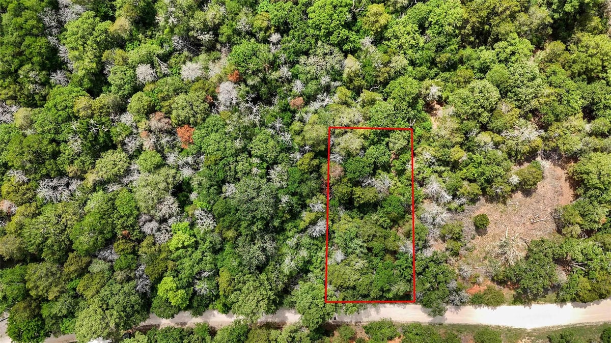 View 135 Helemano Dr in Tahitian Village 135 Helemano Dr - front exterior - Luxury lot in Tahitian Village, Bastrop, TX