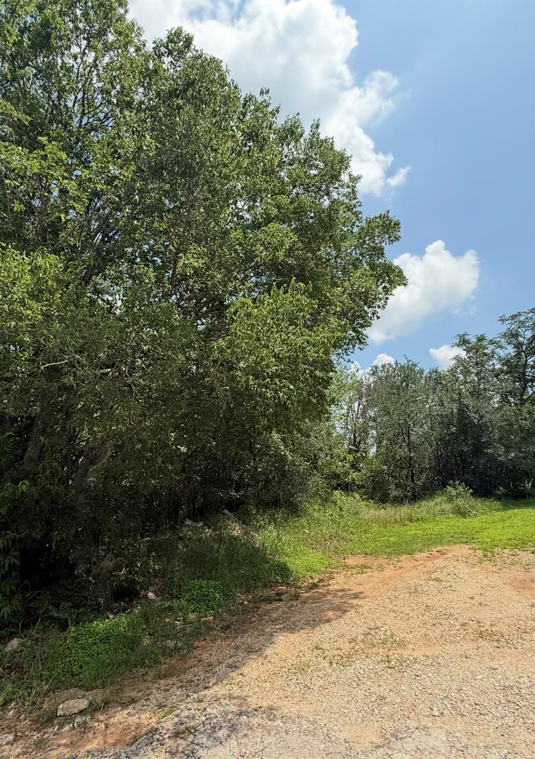 View 135 Jackson ST in St Johns 135 Jackson ST - property photo 1 - Luxury lot in St Johns, Elgin, TX
