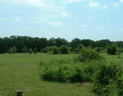View 135 Millenial Way 135 Millenial Way - front exterior - Luxury home in Bastrop, TX