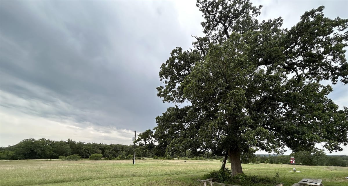 View 136 Fm 2239 RD in McCollum, Elias 136 Fm 2239 RD - property photo 1 - Luxury home in McCollum, Elias, Paige, TX