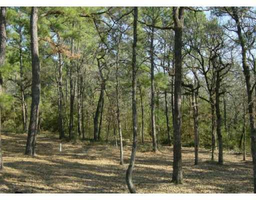 View 137 . Kelley DR 137 . Kelley DR - front exterior - Luxury lot in Bastrop, TX