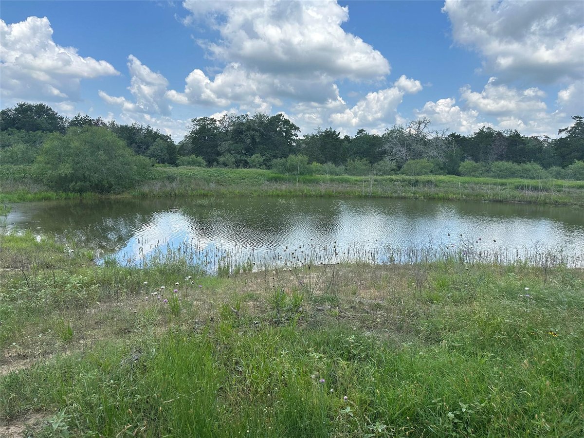 View 1403 Armstrong Derry RD in ABS A118 ZUMWALT A JR, 24 ACRES 1403 Armstrong Derry RD - front exterior - Luxury lot in ABS A118 ZUMWALT A JR, 24 ACRES, Waelder, TX