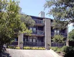 1406 WINDSOR RD Unit #304 - property photo 1 - Luxury home in WINFIELD CONDOMINIUMS, Austin, TX