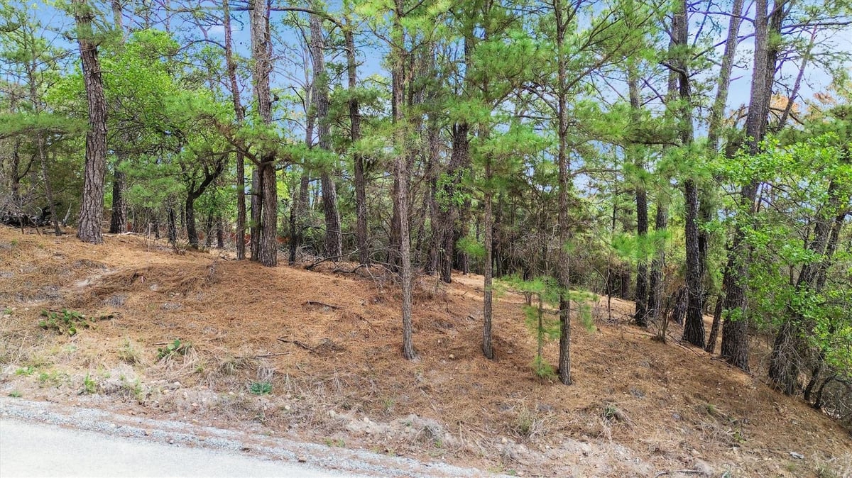 View 141 Kamaiki Dr in Tahitian Village, 141 Kamaiki Dr - front exterior - Luxury lot in Tahitian Village,, Bastrop, TX