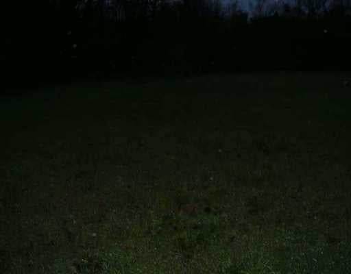 View 141 Lookout RD 141 Lookout RD - property photo 1 - Luxury lot in Hutto, TX