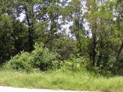 View 14107 Fort Smith TRL 14107 Fort Smith TRL - front exterior - Luxury lot in Austin, TX