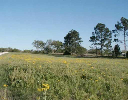 View 1417 Fm 1704 1417 Fm 1704 - front exterior - Luxury lot in Elgin, TX