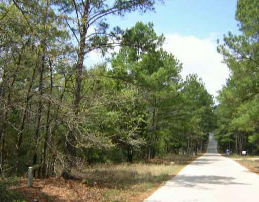 View 142 Forrest LN 142 Forrest LN - property photo 1 - Luxury lot in Bastrop, TX