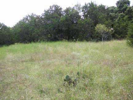 View 14201 Fort Smith TRL 14201 Fort Smith TRL - front exterior - Luxury lot in Austin, TX