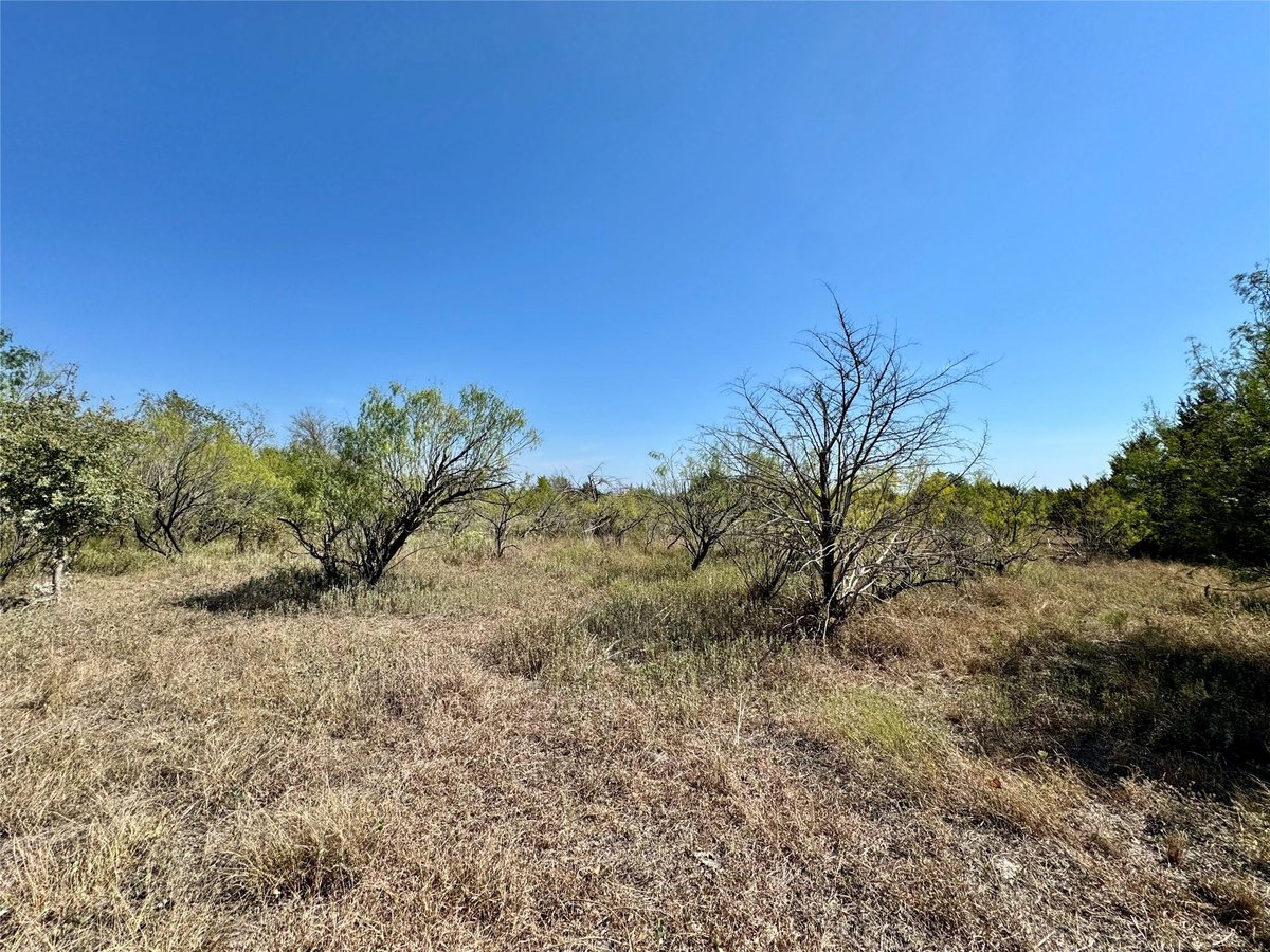 View 14312 Maha RD in GRITTEN 14312 Maha RD - view with 14312 Maha Rd in Austin and open pasture - Luxury lot in GRITTEN, Austin, TX