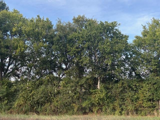 View 1447 FM 713 in Happy Chick Meadows 1447 FM 713 - front exterior - Luxury lot in Happy Chick Meadows, Lockhart, TX