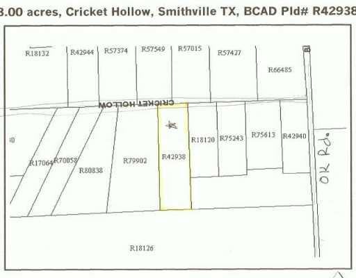 View 147 Cricket Hollow LN 147 Cricket Hollow LN - property photo 1 - Luxury lot in Smithville, TX