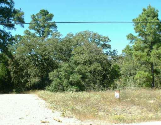 148 Corral Rd - front exterior - Luxury lot in Smithville, TX
