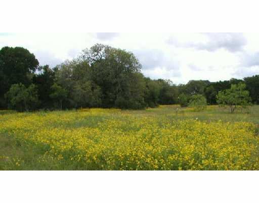 View 149 Whitney Run 17 C III 149 Whitney Run 17 C III - front exterior - Luxury lot in Buda, TX