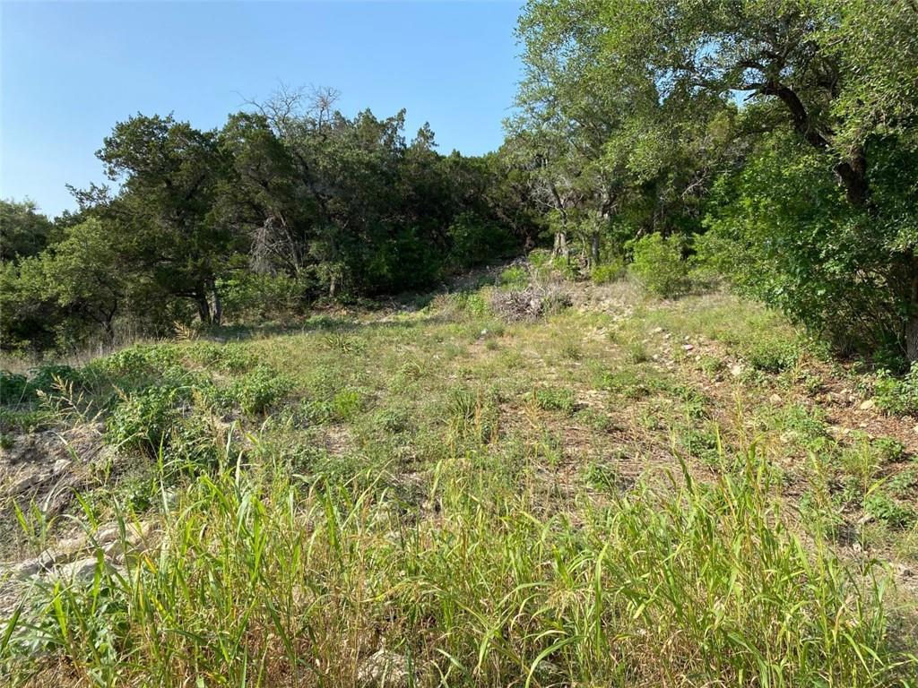 View 14906 Iowa St in Mountain View 14906 Iowa St - front exterior - Luxury lot in Mountain View, Austin, TX