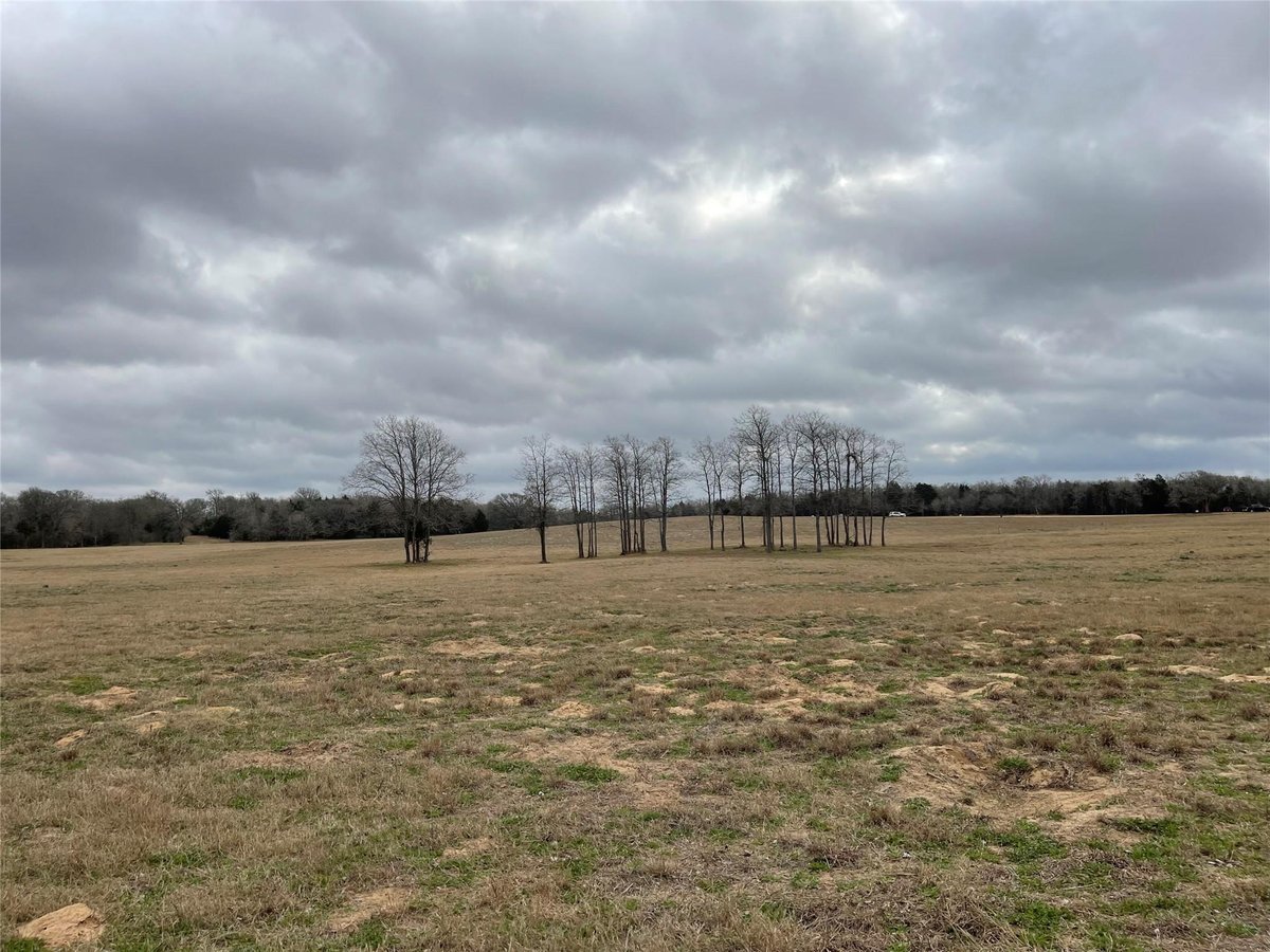 View 1498 Walleye Creek LN in WALLEYE CREEK RANCH 1498 Walleye Creek LN - front exterior - Luxury lot in WALLEYE CREEK RANCH, Lexington, TX