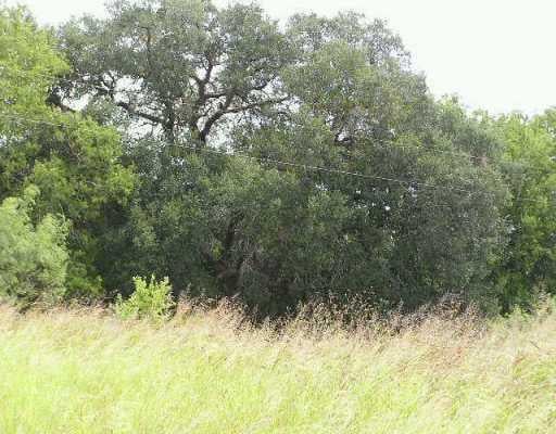 View 150 Black Ankle RD 150 Black Ankle RD - front exterior - Luxury home in Lockhart, TX