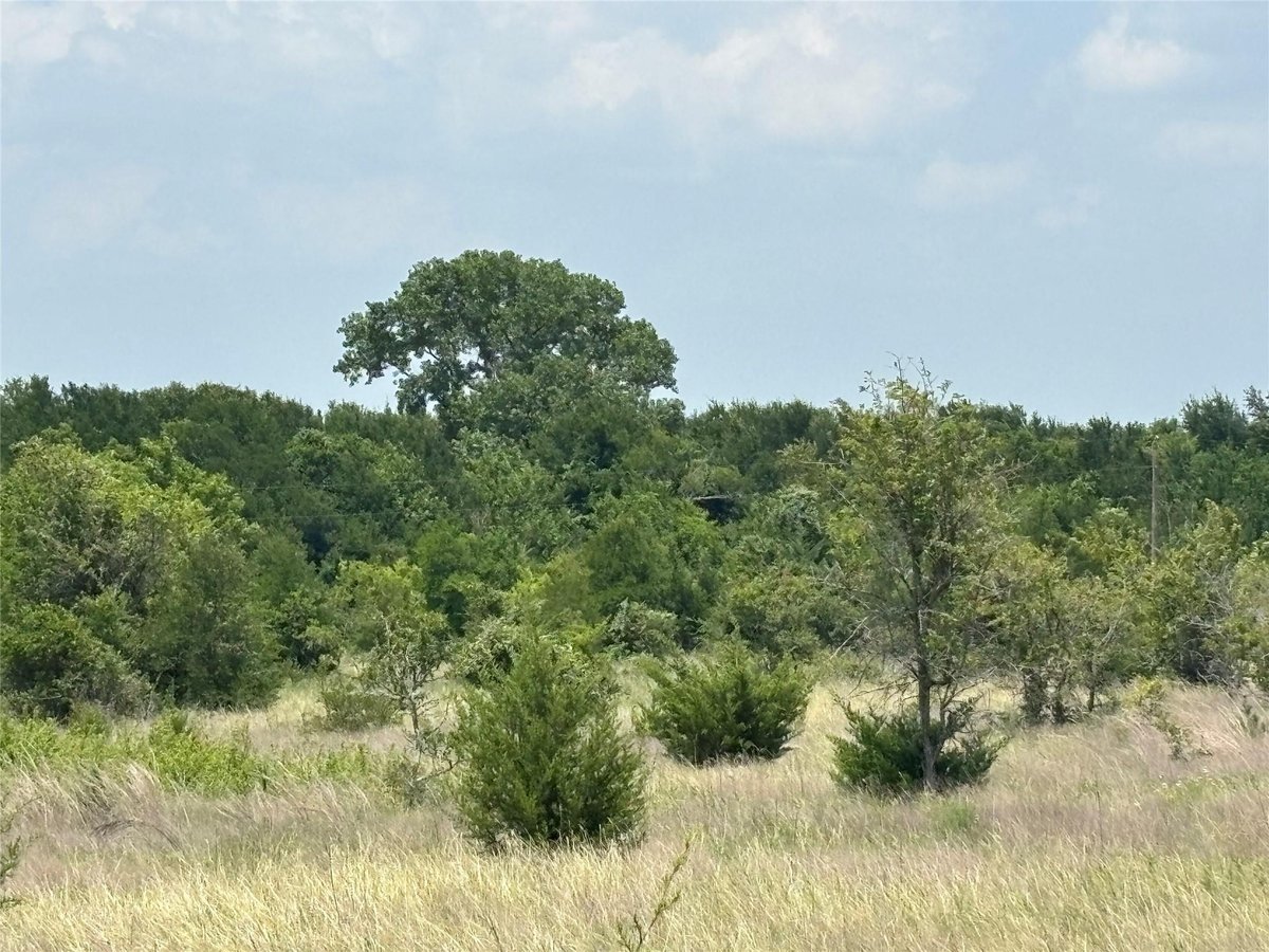 View 1500 Bottoms East RD in Troy 1500 Bottoms East RD, photo 1 of 14, Troy, Troy, TX