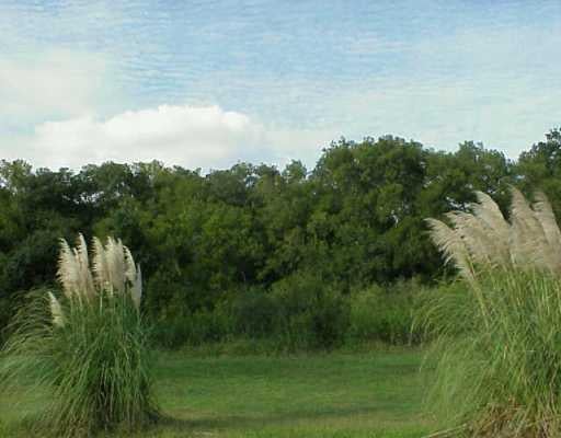 View 1505 Konahuanui Ln 1505 Konahuanui Ln - front exterior - Luxury lot in Bastrop, TX