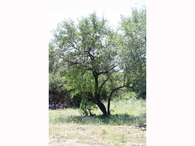 View 15104 Richerson 15104 Richerson - property photo 1 - Luxury lot in Austin, TX