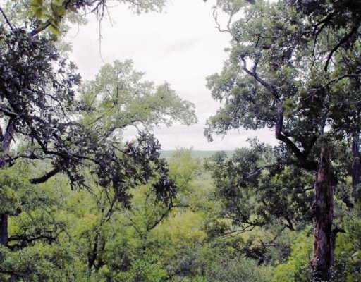 View 1511 Konahuanui Ln 1511 Konahuanui Ln - front exterior - Luxury lot in Bastrop, TX