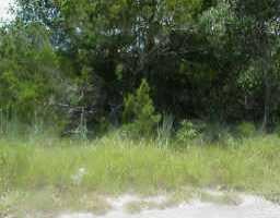 View 1524 Crazyhorse PASS 1524 Crazyhorse PASS - front exterior - Luxury lot in Lakeway, TX