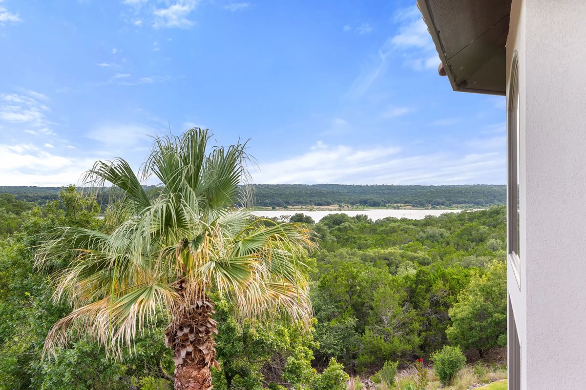 Palm tree overlooking Lake Georgetown from the second-story balcony