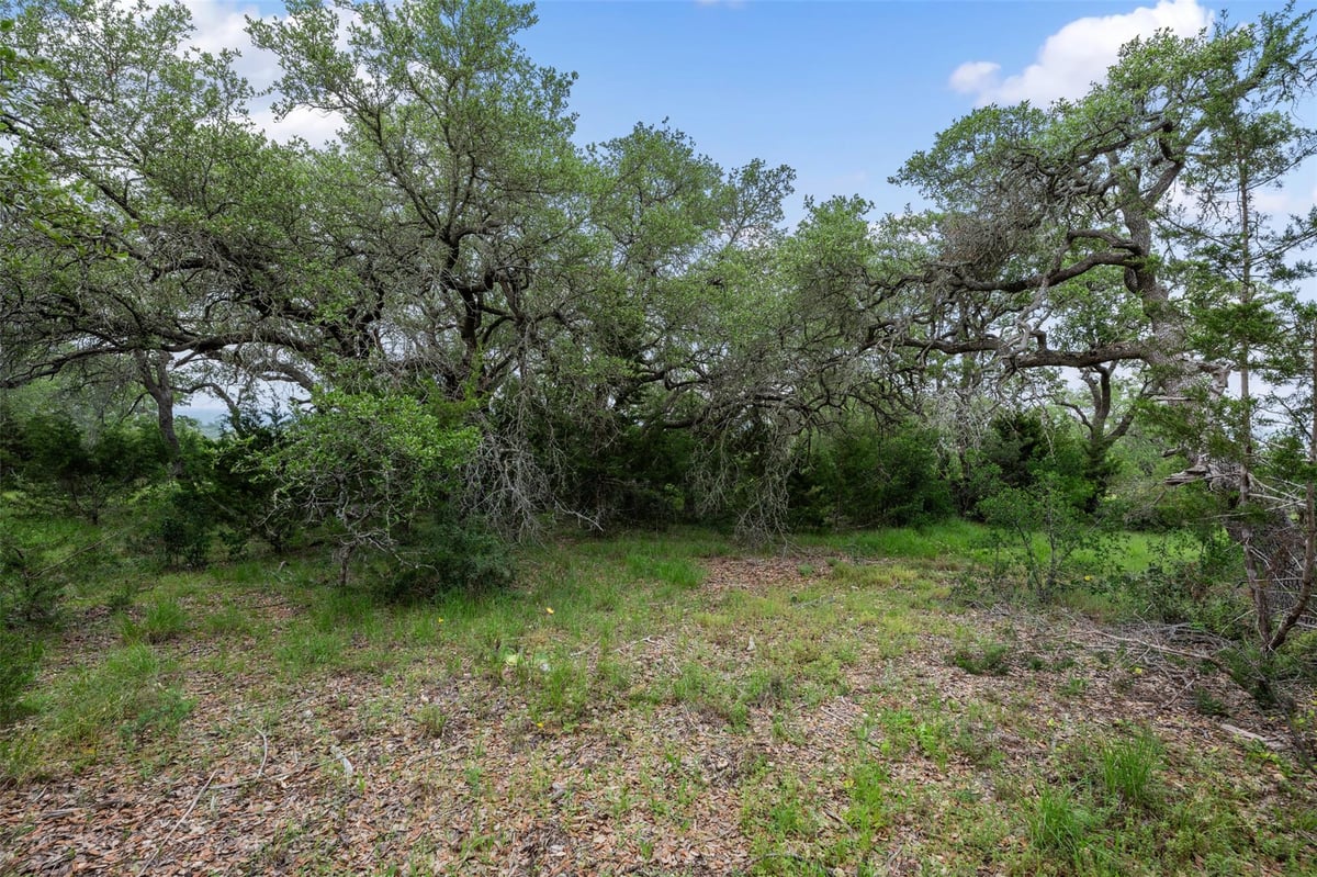 Living area at 155 SW Crosswater Ln - Caliterra Ph 5 Sec 14, Dripping Springs, TX