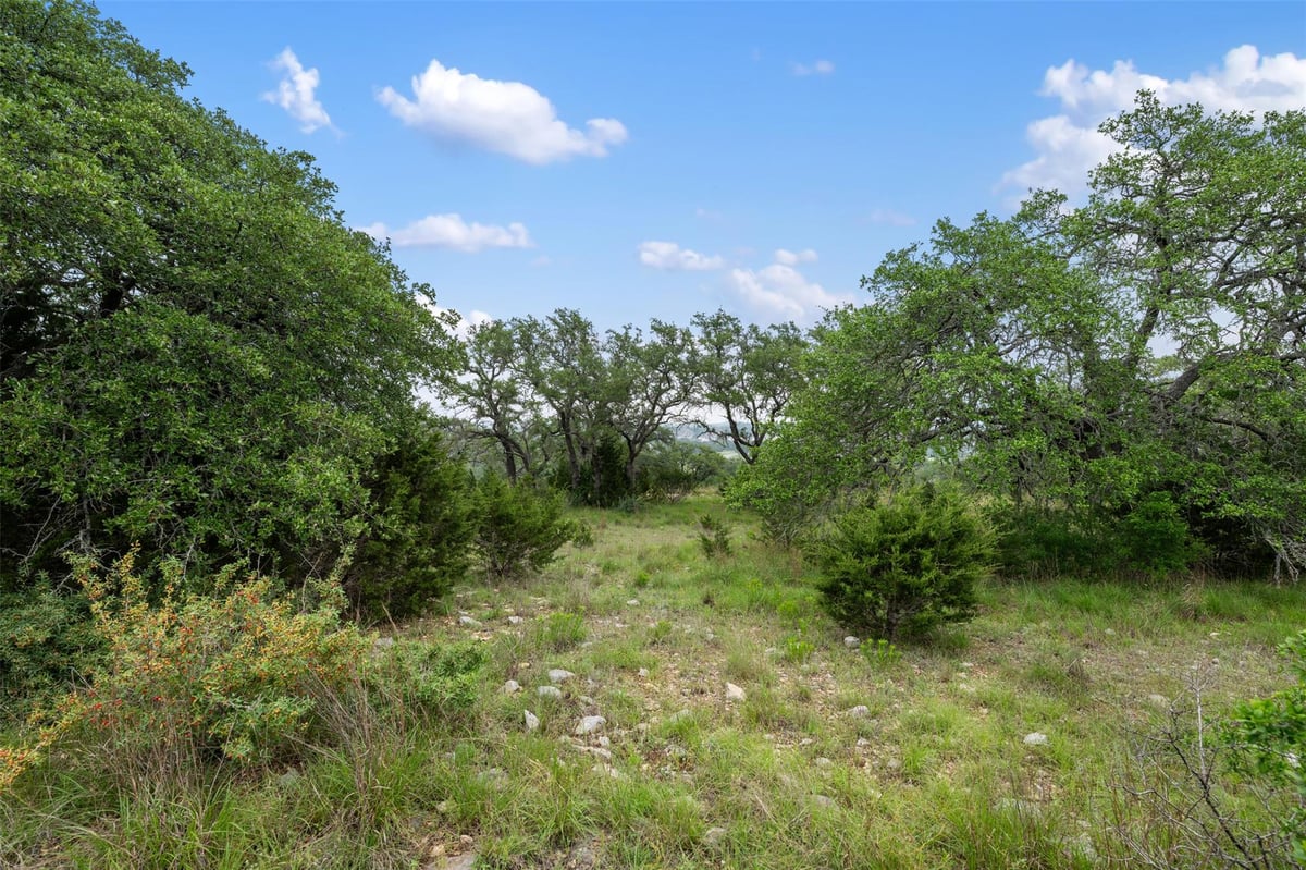 Primary bedroom at 155 SW Crosswater Ln - Caliterra Ph 5 Sec 14, Dripping Springs, TX